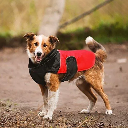 Dog Waterproof Warm Jacket - Blue -S/M/L