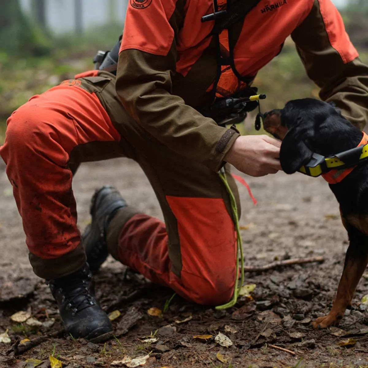 Harkila Wild Boar Pro Trousers