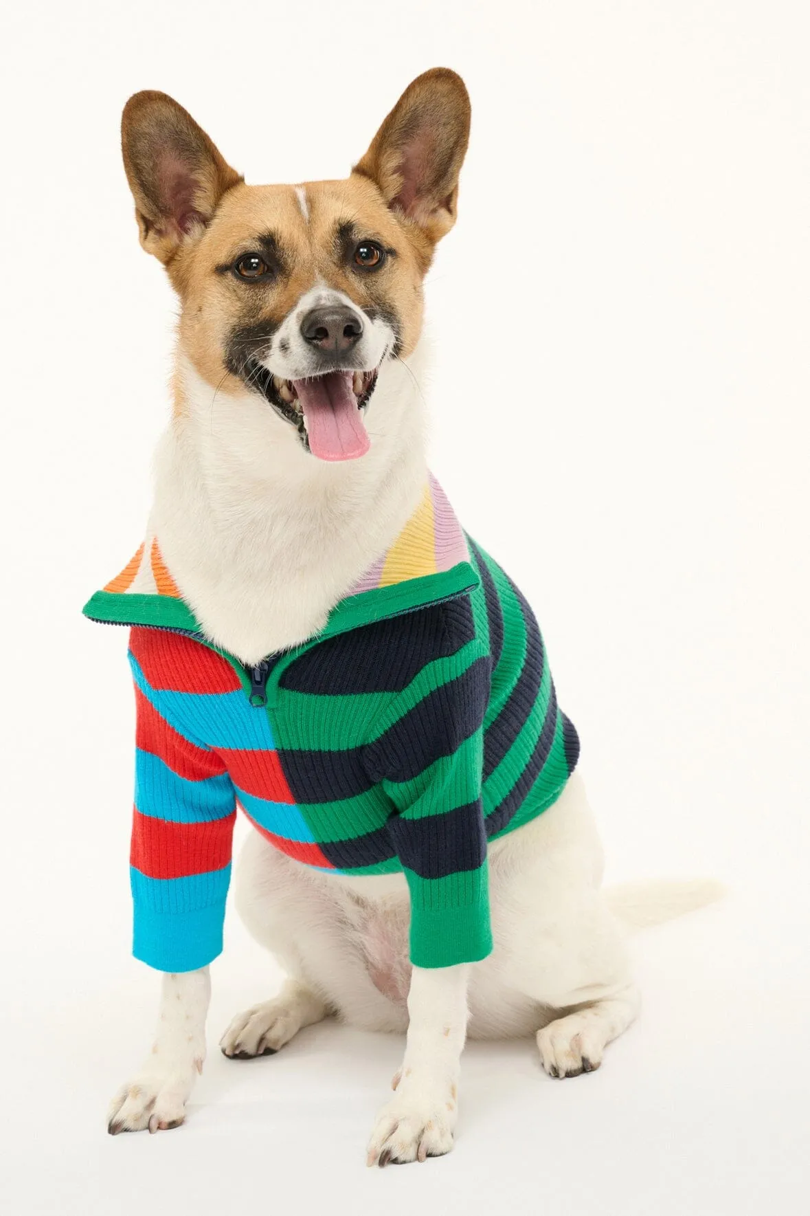 PET HAMPTON SWEATER | CABANA STRIPE MULTI