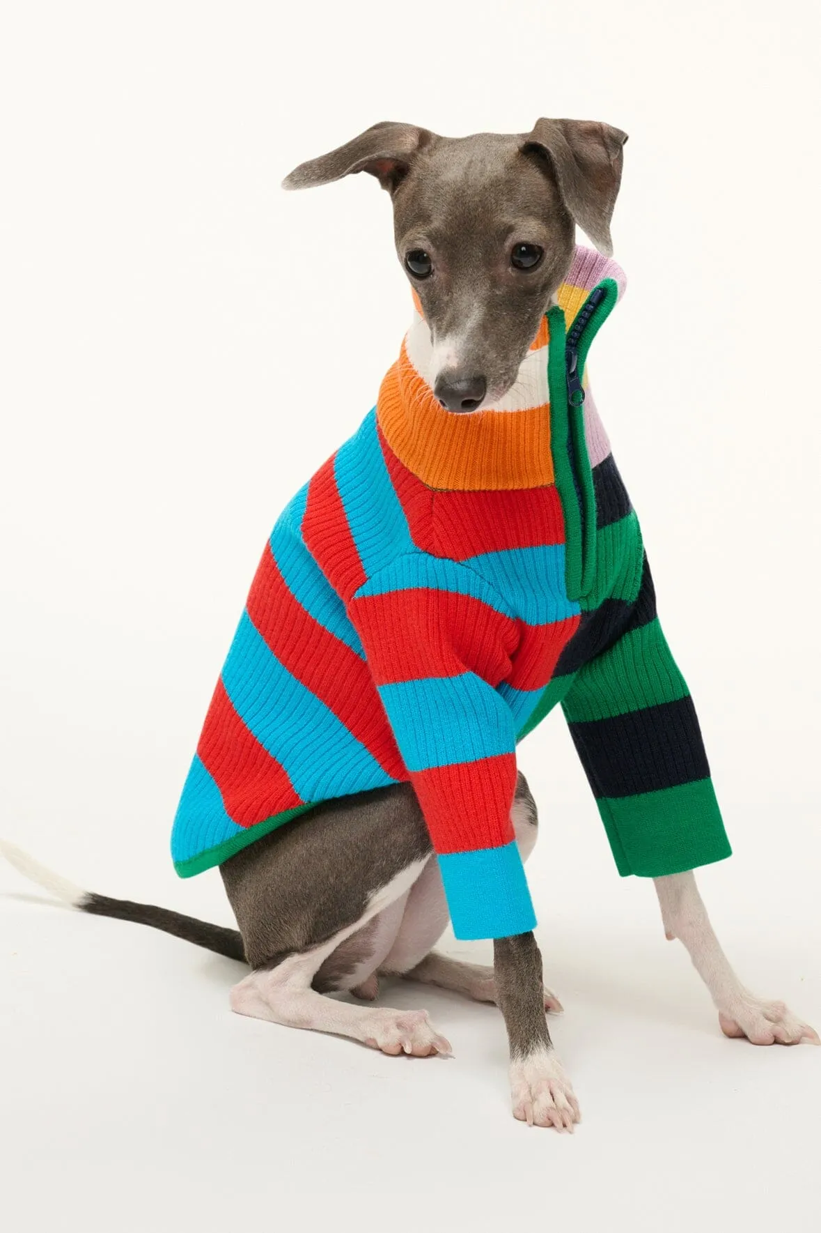 PET HAMPTON SWEATER | CABANA STRIPE MULTI