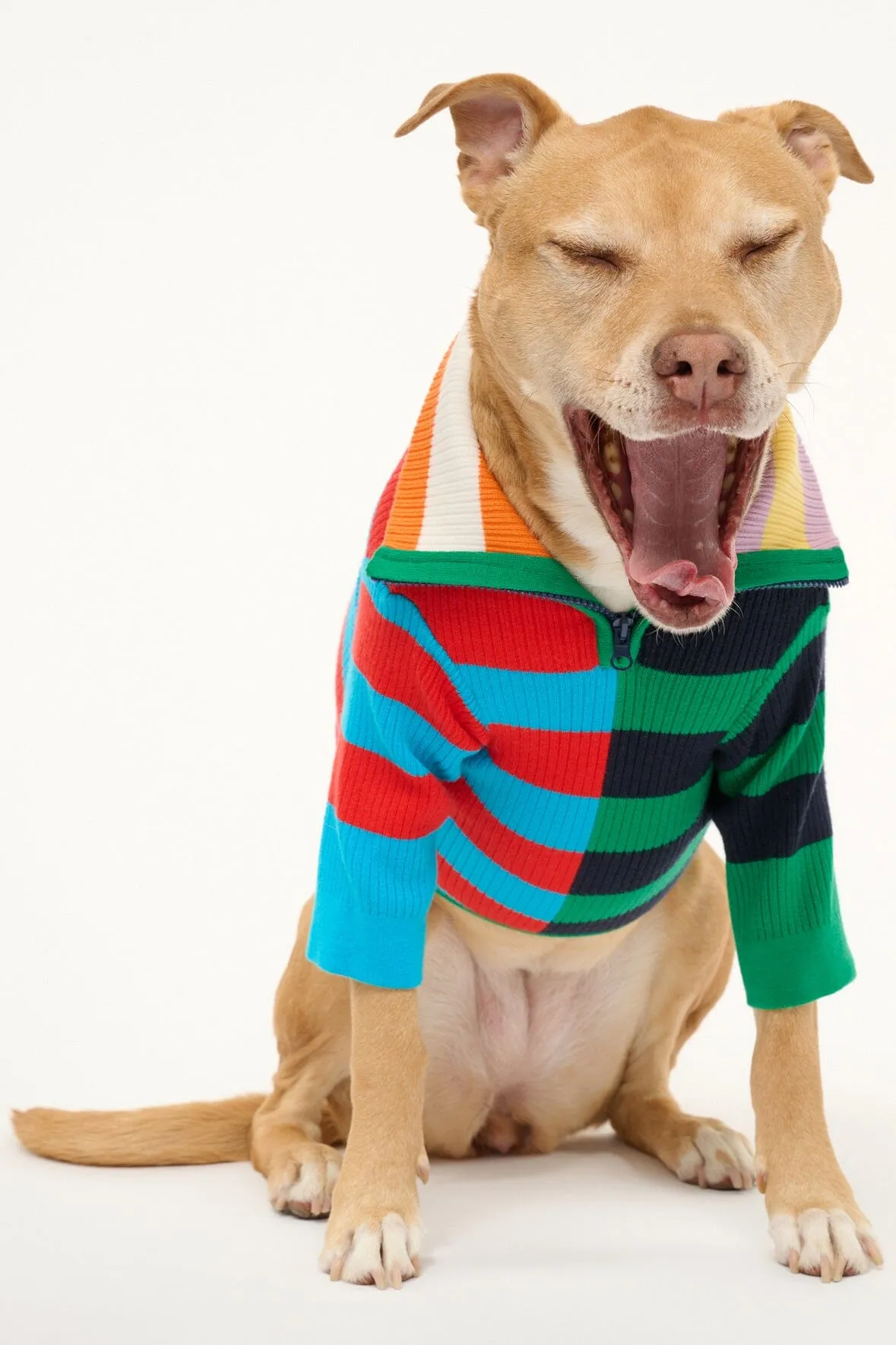 PET HAMPTON SWEATER | CABANA STRIPE MULTI