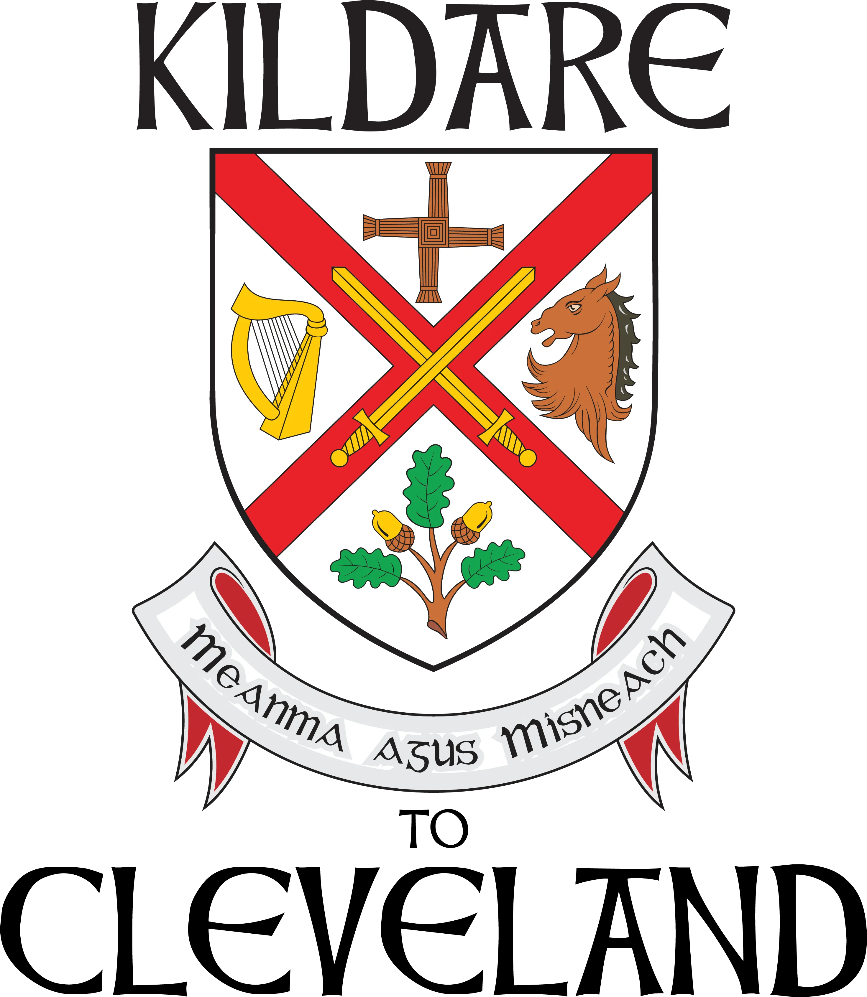 "Kildare to Cle" Irish Counties Design on Gray