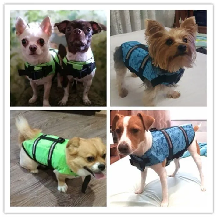 Stay Afloat: Dog Life Vest for Small, Medium & Large Breeds!